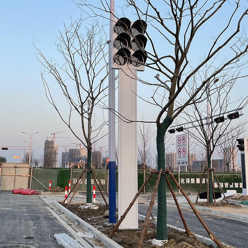 Integrated Parallel Traffic Signal Light